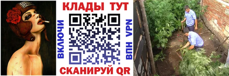 Купить закладку Таштагол Cocaine  Меф  СОЛЬ  Бошки Шишки  ГАШ 