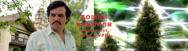 PSILOCYBIN Пересвет