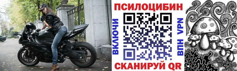Псилоцибиновые грибы Psilocybine cubensis  где купить наркоту  Таштагол 